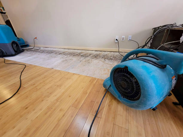 Professional Water Extraction technician working in Clayton, OH